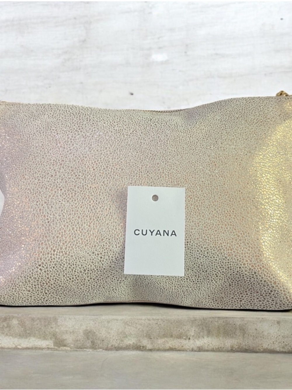 Cuyana Zip Pouch/Clutch
Leather Shimmer